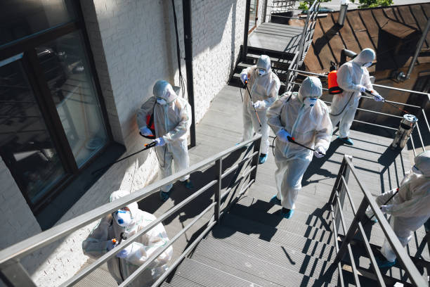 Best Mold Removal for HVAC Installations  in Crownpoint, NM