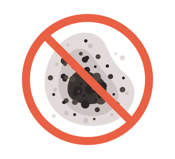 Best Emergency Mold Remediation  in Crownpoint, NM