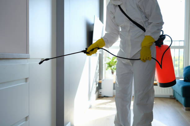 Best Mold Remediation for Healthcare Facilities  in Crownpoint, NM