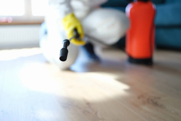 Best Mold Prevention Services  in Crownpoint, NM