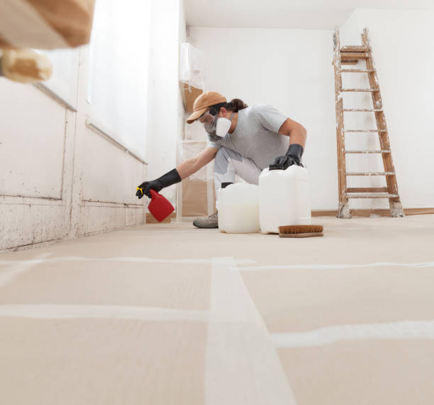 Best HVAC Mold Inspection and Cleaning  in Crownpoint, NM