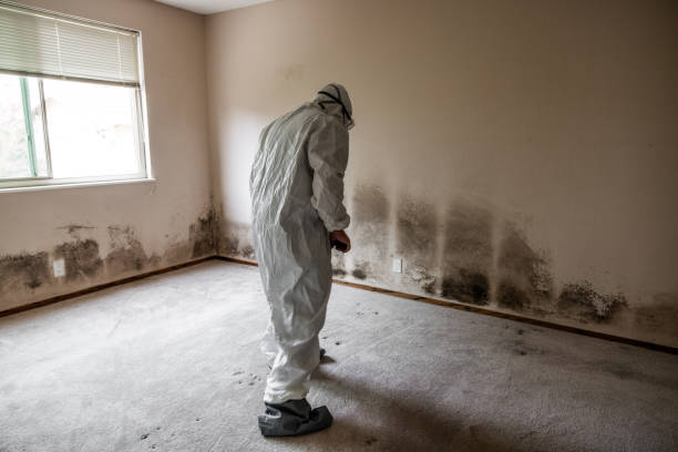 Best Airborne Mold Testing  in Crownpoint, NM